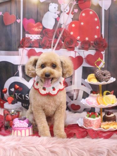 20250227ぱるくん